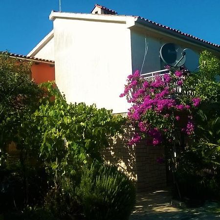 Apartment Pletikos Premantura Εξωτερικό φωτογραφία
