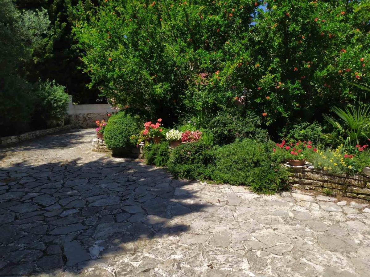 Apartment Pletikos Premantura Εξωτερικό φωτογραφία